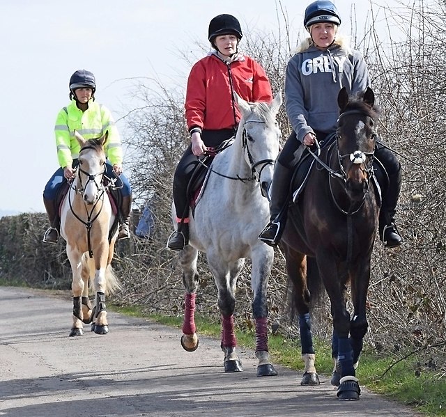 Horse Riders Enjoy New Priority Status South Somerset Bridleways